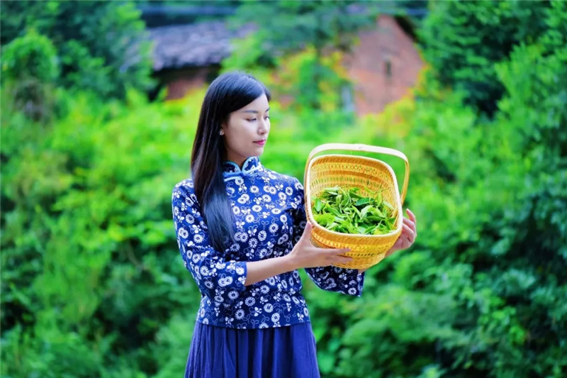中国饮茶与健康的起源和历史