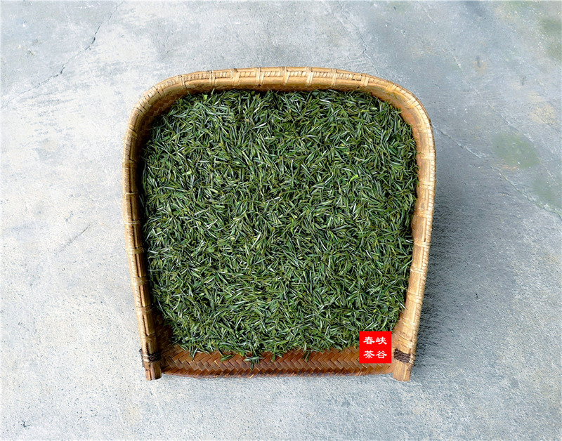 品到深处才懂茶 品到深处才懂茶