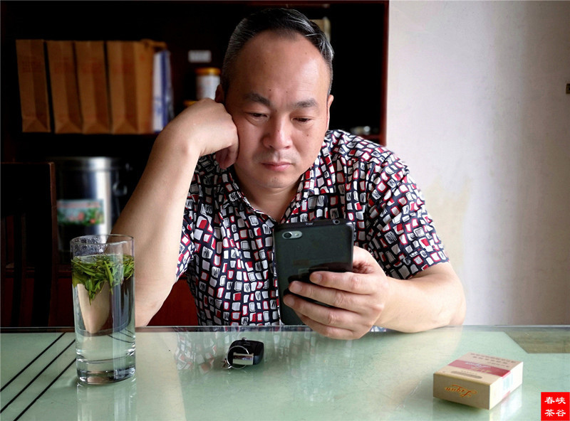 品到深处才懂茶 品到深处才懂茶